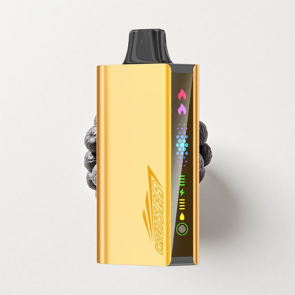 JNR Cruiser 12000 Puffs Blackberry Ice Built-in Battery Animation Display