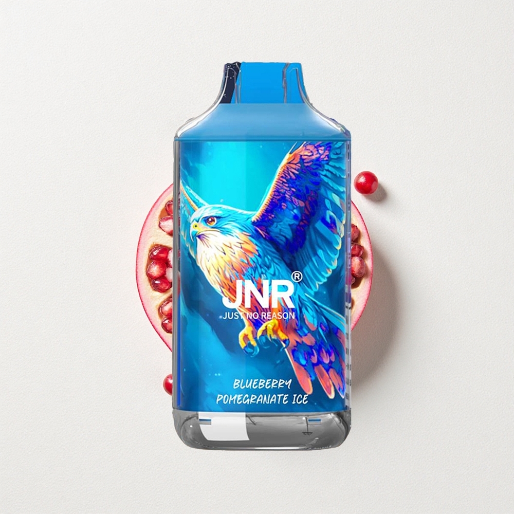JNR Falcon 16000 Puffs 22mL E-Liquid Capacity Dual Mesh Coil Blueberry Pomegranate Ice