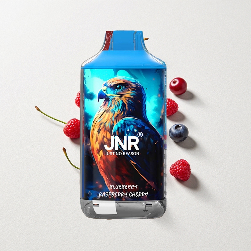 JNR Falcon 16000 Puffs Dual Mesh Coil 22mL E-Liquid Capacity Blueberry Raspberry Cherry