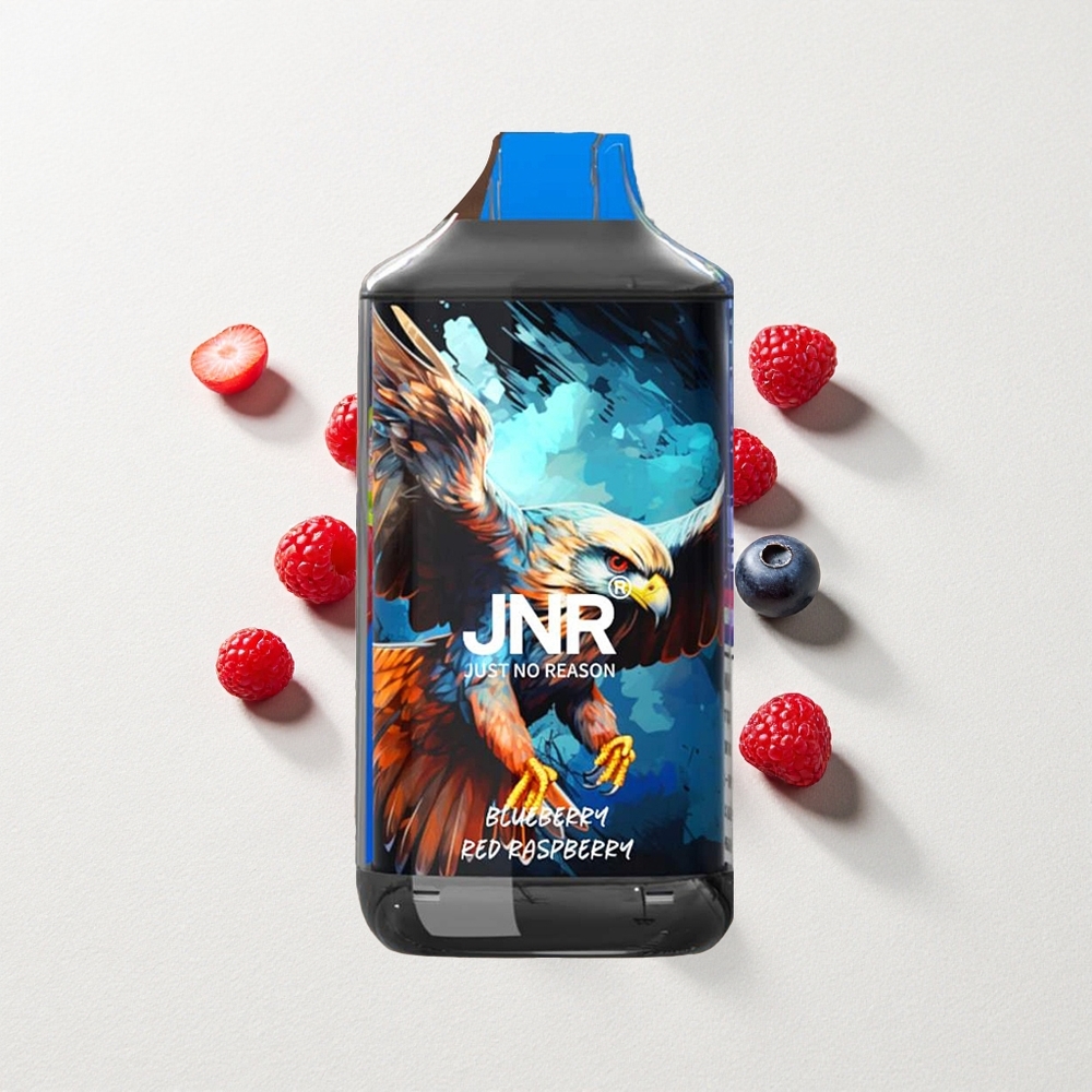 JNR Falcon 16000 Puffs Dual Mesh Coil 22mL E-Liquid Capacity Blueberry Red Raspberry
