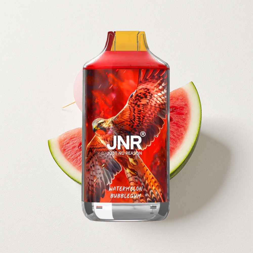 JNR Falcon 16000 Puffs Dual Mesh Coil 22mL E-Liquid Capacity Watermelon Bubblegum