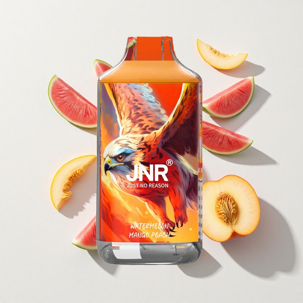 JNR Falcon 16000 Puffs Dual Mesh Coil 22mL E-Liquid Capacity Watermelon Mango Peach