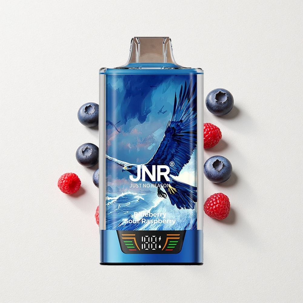 JNR Falcon Pro 28000 MTL Mesh 30mL E-Liquid Capacity Blueberry Sour Raspberry
