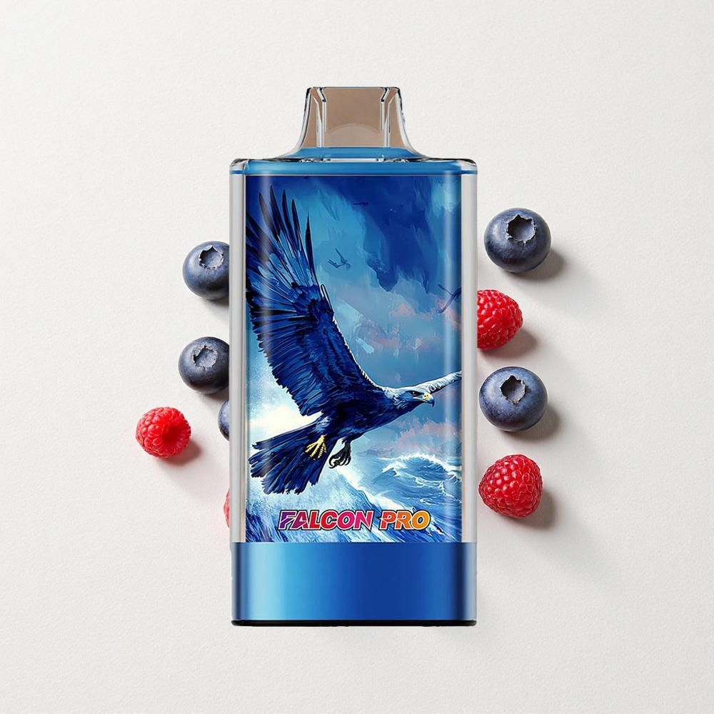 JNR Falcon Pro 28000 MTL Mesh 30mL E-Liquid Capacity Blueberry Sour Raspberry