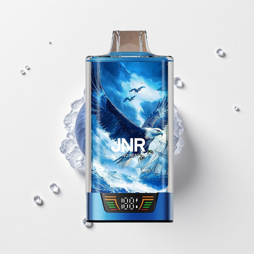 JNR Falcon Pro 28000 Smart Dual Mesh Coil Blueberry Ice