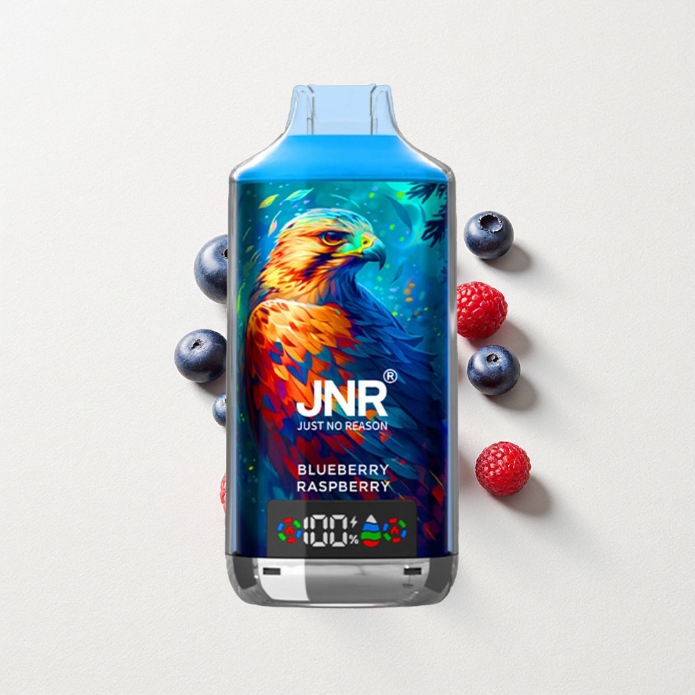 JNR Falcon X 18000 Puffs Dual Mesh Coil 24mL E-Liquid Capacity Blueberry Raspberry