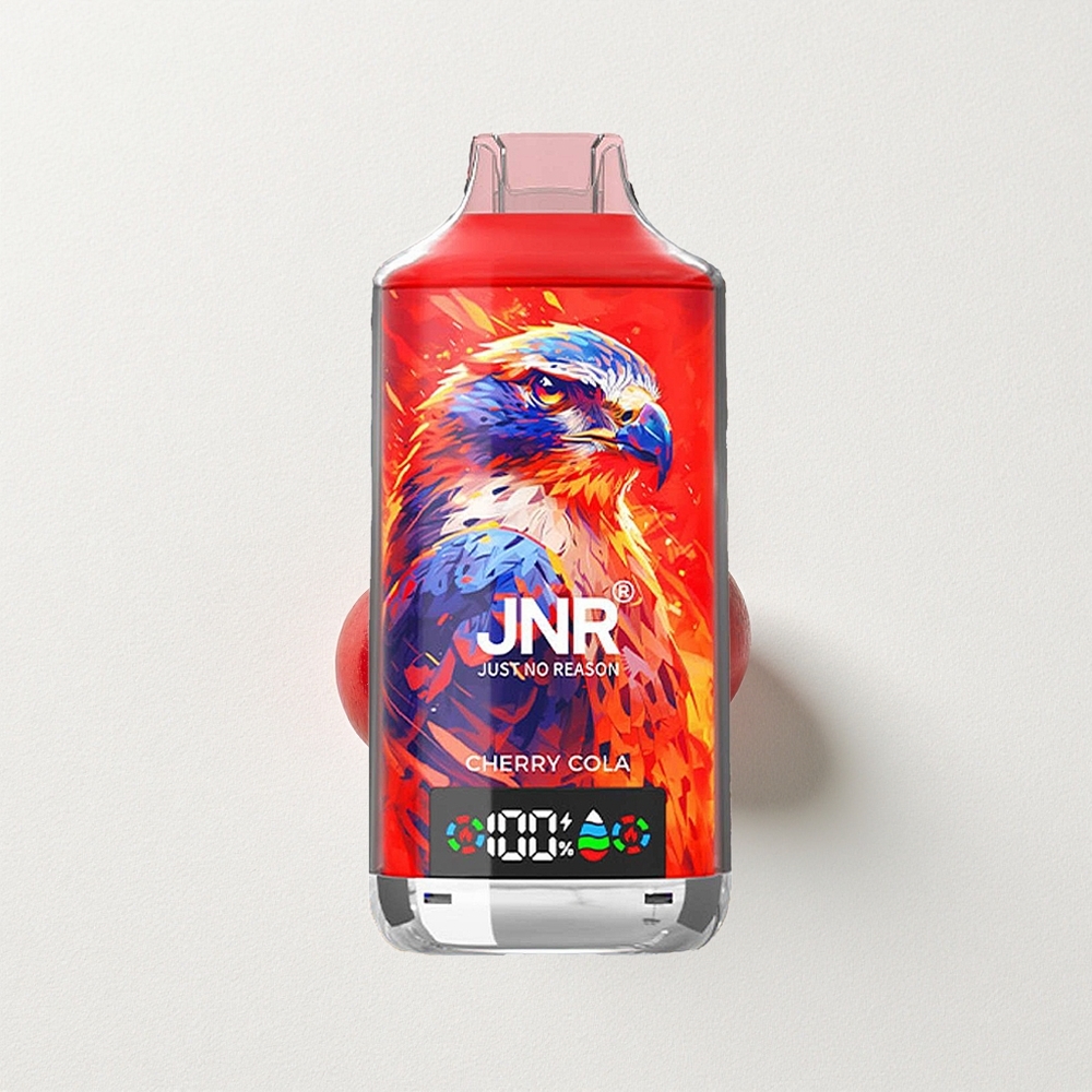 JNR Falcon X 18000 Puffs Dual Mesh Coil Cherry Type-C Quick Charge