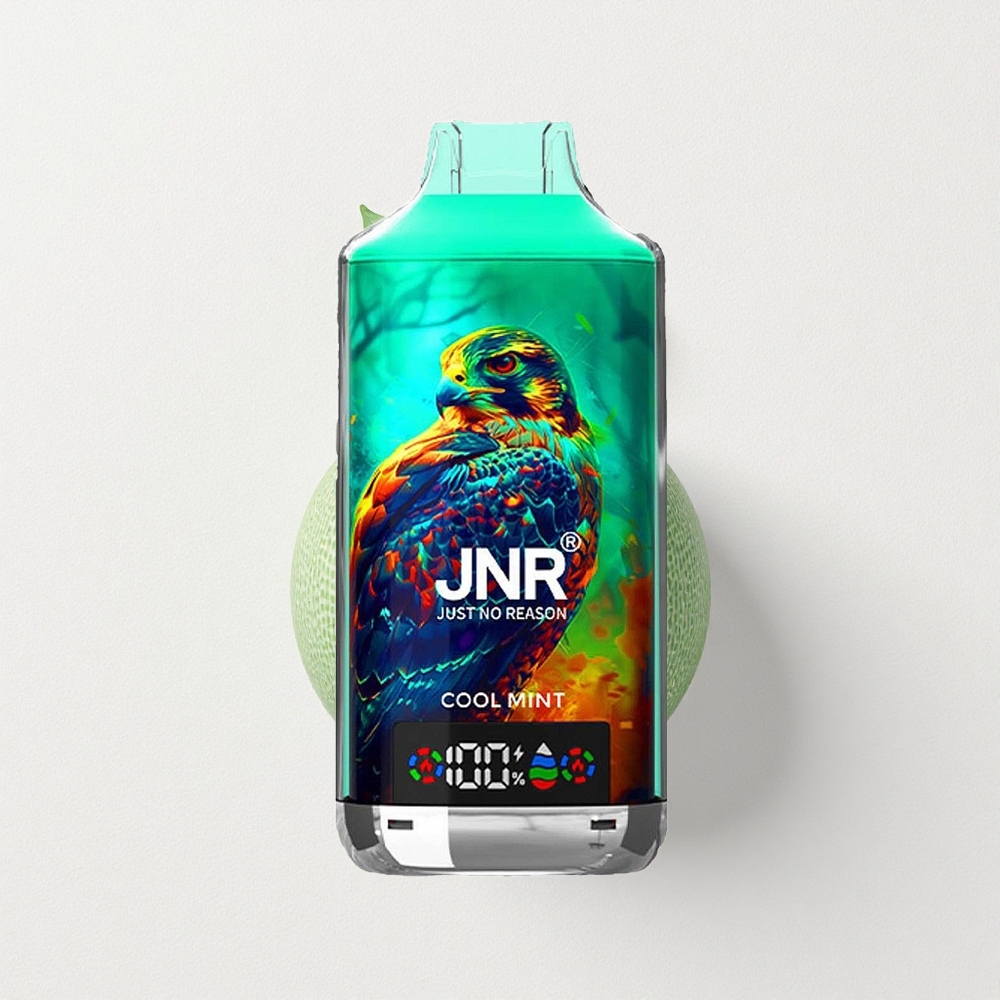 JNR Falcon X 18000 Puffs Dual Mesh Coil Cool Mint Type-C Quick Charge