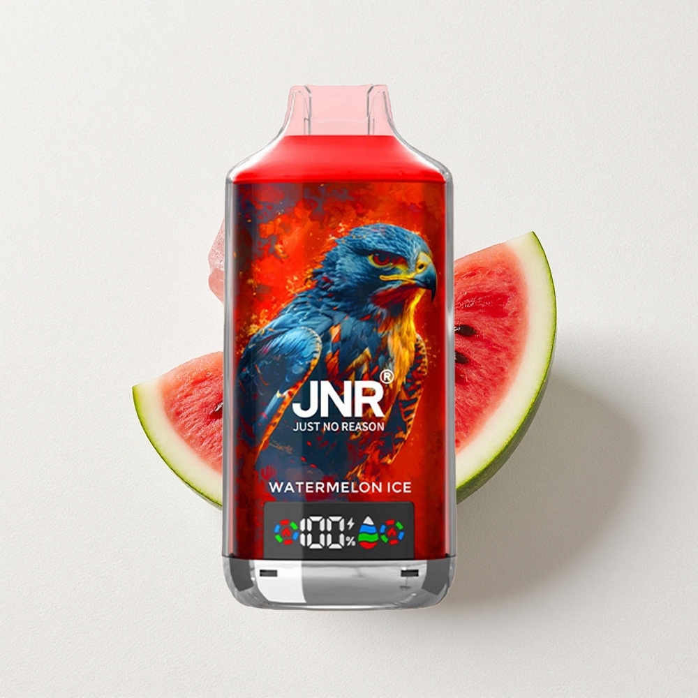 JNR Falcon X 18000 Puffs Dual Mesh Coil Watermelon Ice Type-C Quick Charge
