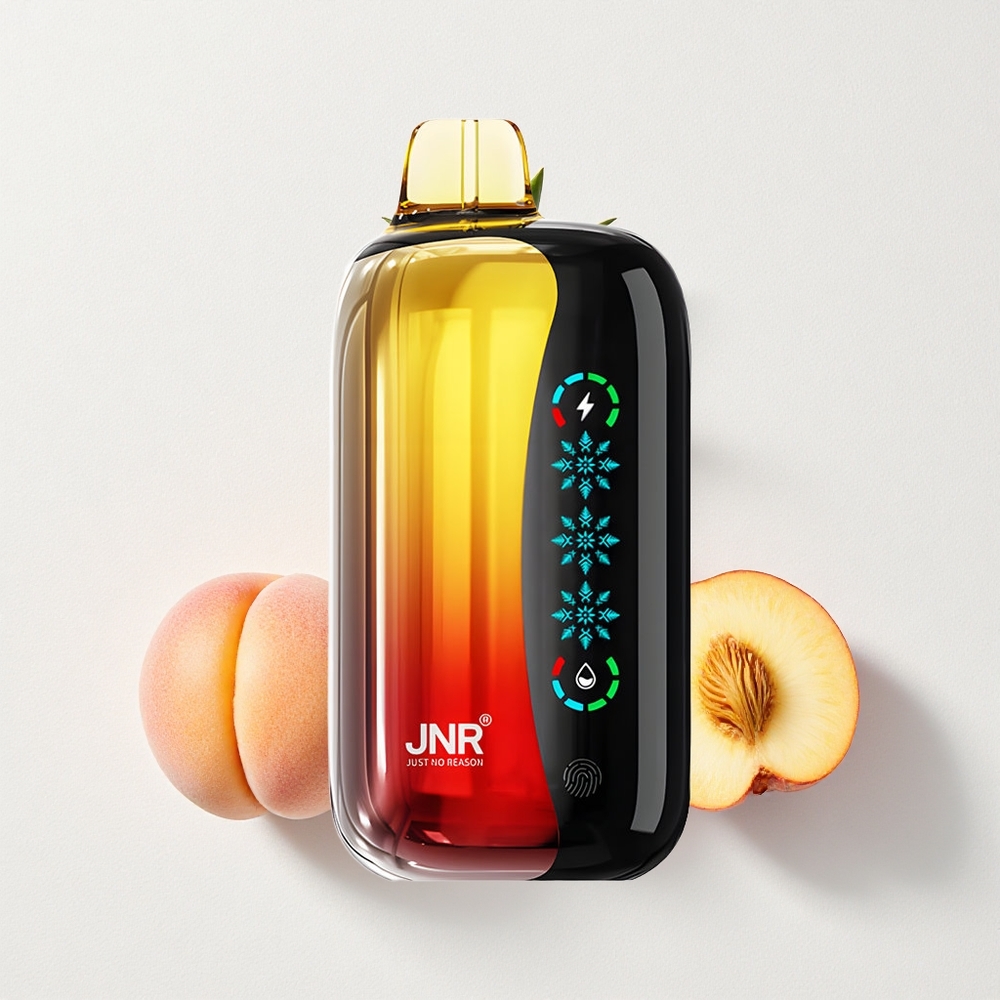 JNR Flex Ice 21000 Puffs Airflow Touch Peach Mango Pineapple