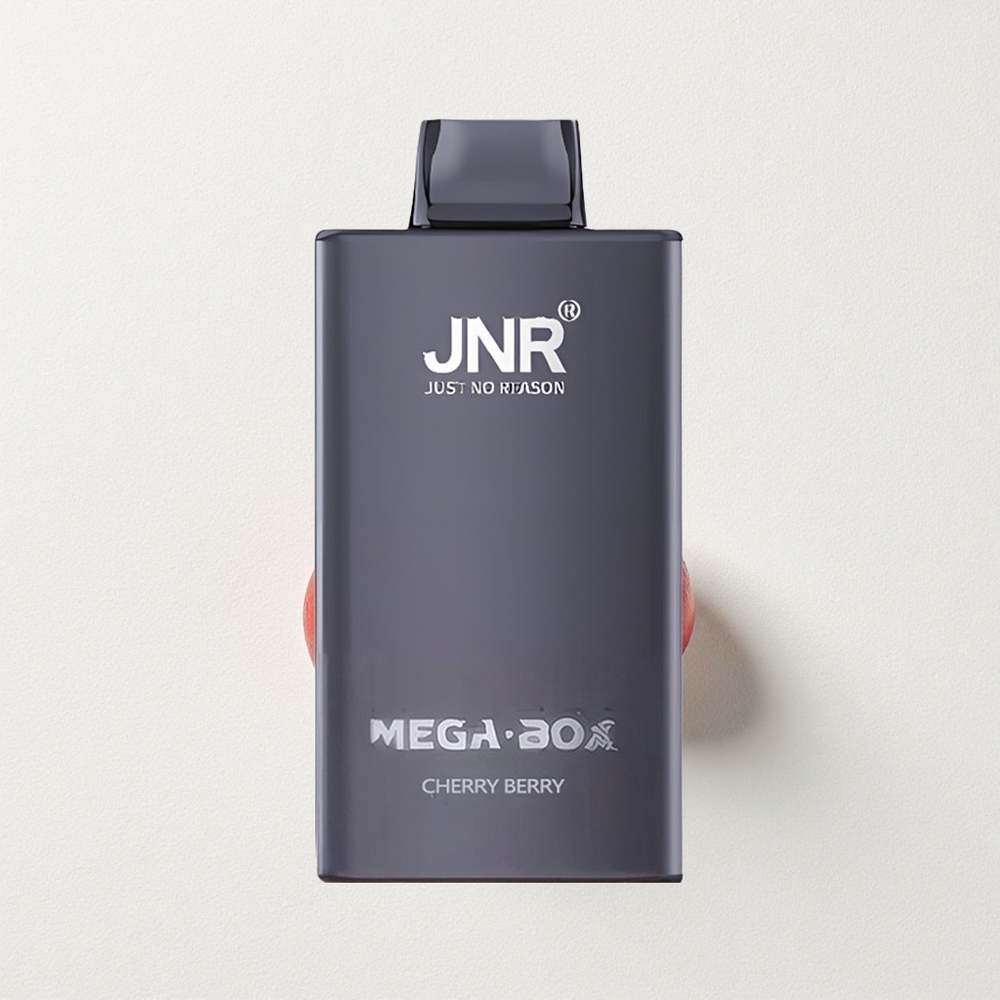 JNR Mega Box 25000 Puffs Dual Mesh Coil Cherry Berry Quick Charge
