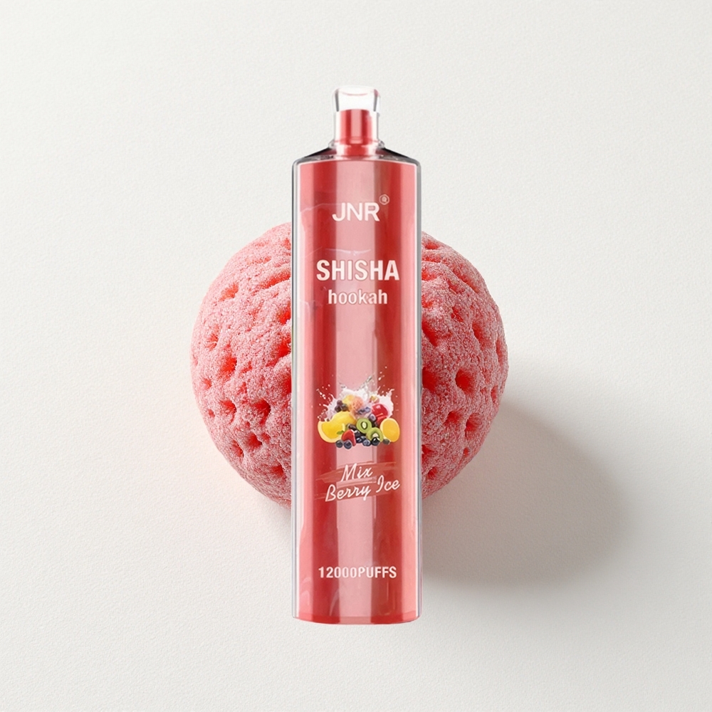 JNR Shisha 12000 Puffs 24mL E-Liquid Capacity Berry Ice Disposable Vape