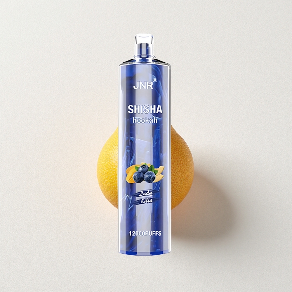 JNR Shisha 12000 Puffs 24mL E-Liquid Capacity Lady Killa