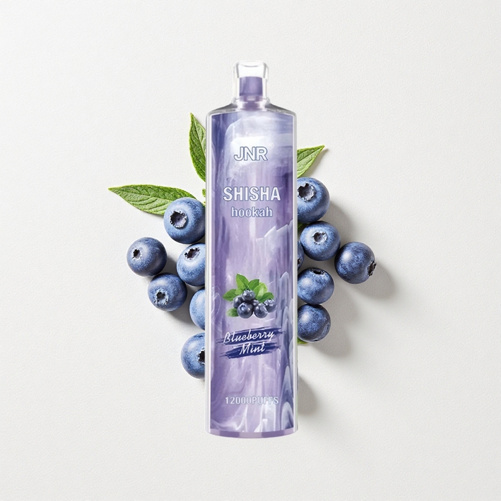 JNR Shisha Hookah 12000 Puffs 750mAh Battery Capacity Type-C Blueberry Mint