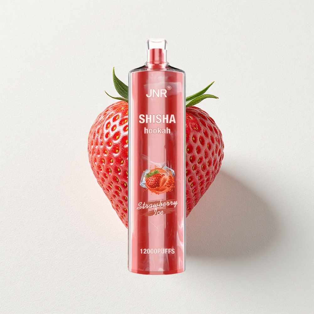 JNR Shisha Hookah 12000 Puffs Strawberry Ice 24mL E-Liquid Capacity Type-C Fast Charging